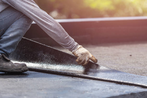 Professional Basement Waterproofing technician working in Clio, AL